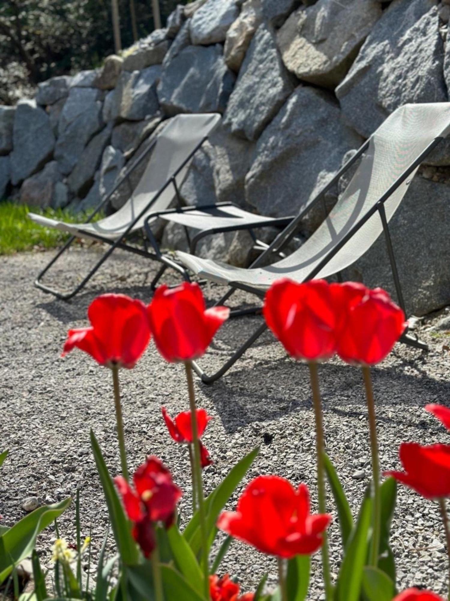 Chalet22 Beim Floesserhaus In Beuerberg Eurasburg Εξωτερικό φωτογραφία